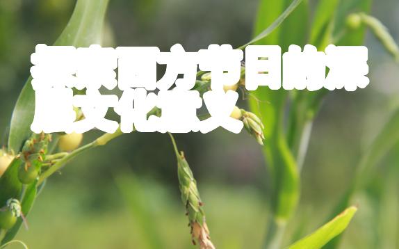 探索西方节日的深层文化意义