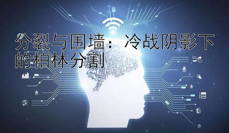 分裂与围墙：冷战阴影下的柏林分割