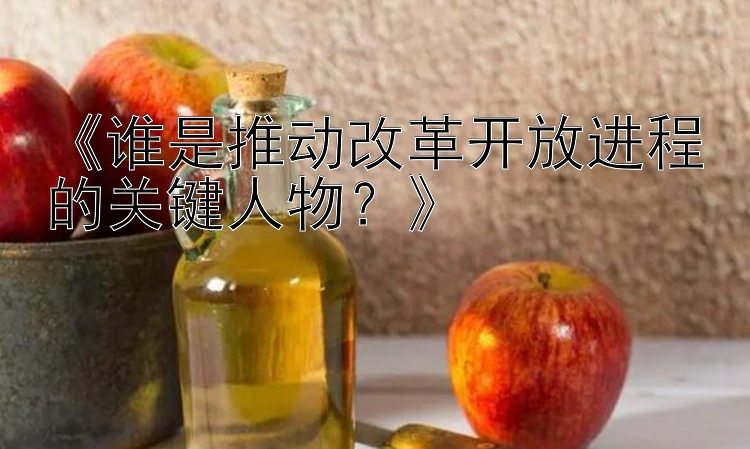 《谁是推动改革开放进程的关键人物？》