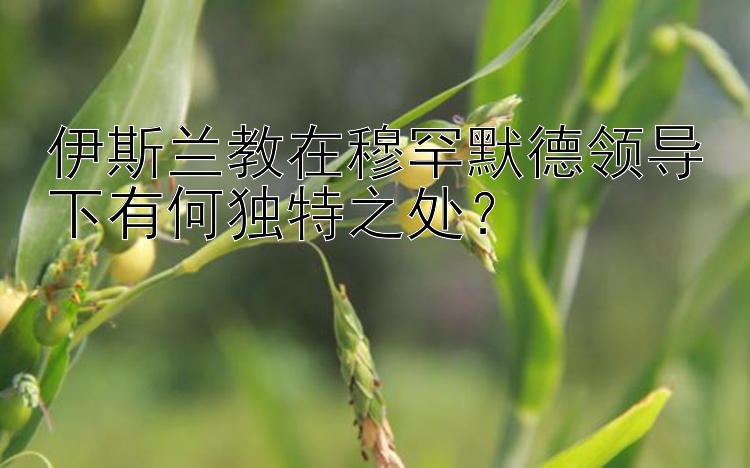 伊斯兰教在穆罕默德领导下有何独特之处？