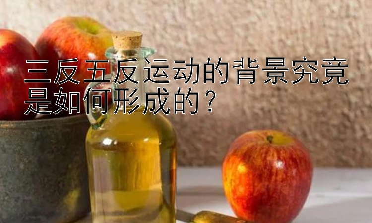 三反五反运动的背景究竟是如何形成的？