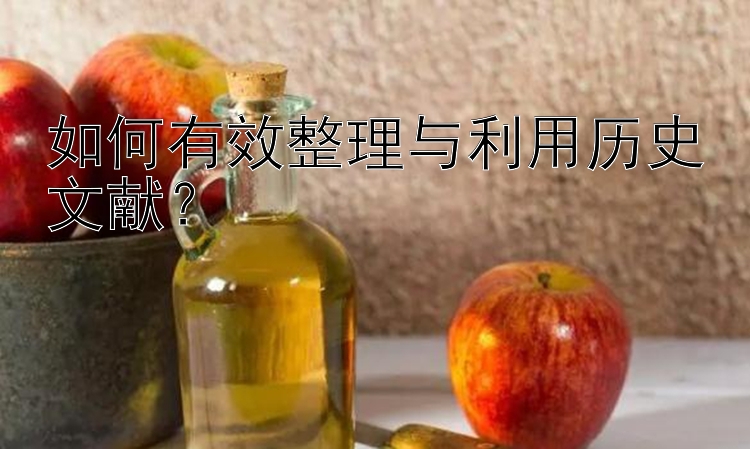 如何有效整理与利用历史文献？