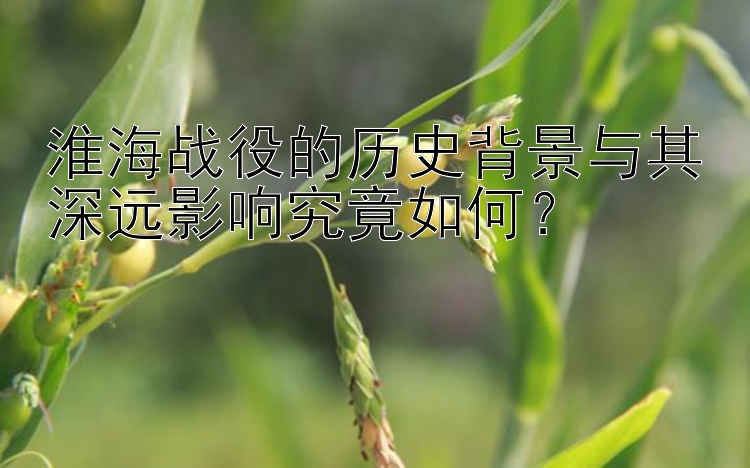 淮海战役的历史背景与其深远影响究竟如何？