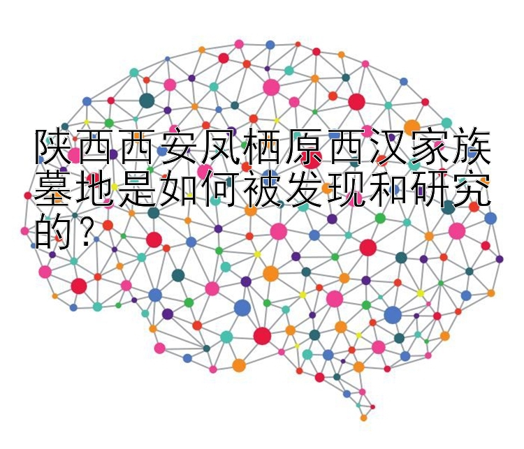 陕西西安凤栖原西汉家族墓地是如何被发现和研究的？