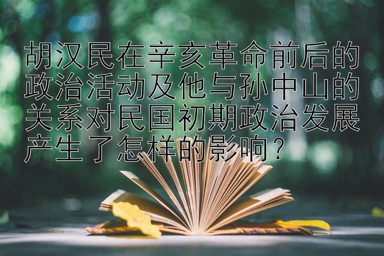 胡汉民在辛亥革命前后的政治活动及他与孙中山的关系对民国初期政治发展产生了怎样的影响？