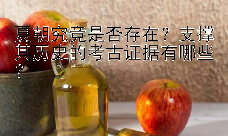 夏朝究竟是否存在？支撑其历史的考古证据有哪些？