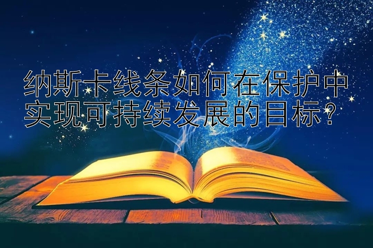 纳斯卡线条如何在保护中实现可持续发展的目标？