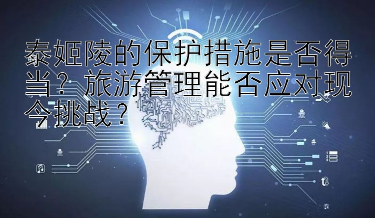 泰姬陵的保护措施是否得当？旅游管理能否应对现今挑战？