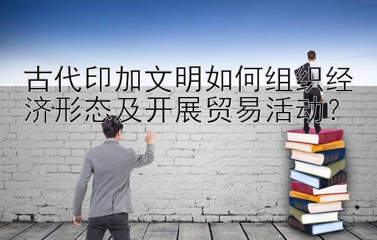 古代印加文明如何组织经济形态及开展贸易活动？